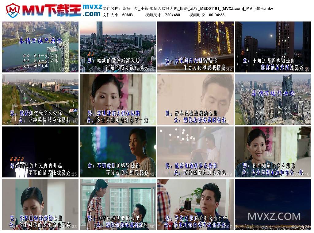 蓝海一梦_小伟-柔情万缕只为你_国语_流行_MED01191